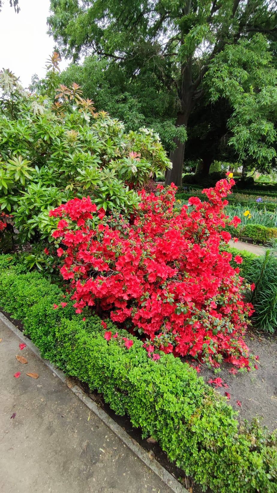 IMG-20230429-WA0079